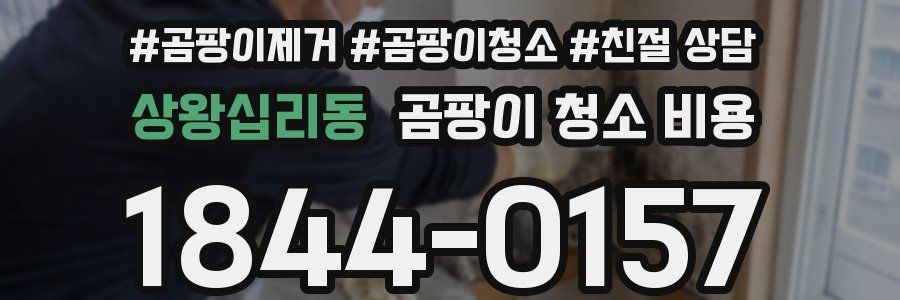 상왕십리동 곰팡이 청소 비용