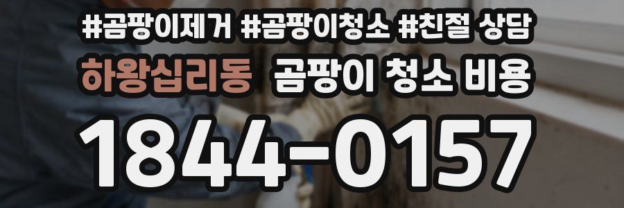 하왕십리동 곰팡이 청소 비용