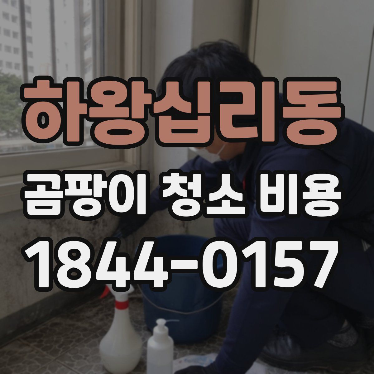하왕십리동 곰팡이 청소 비용