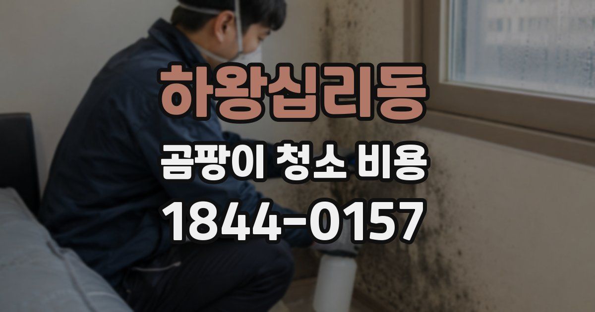 하왕십리동 곰팡이 청소 비용