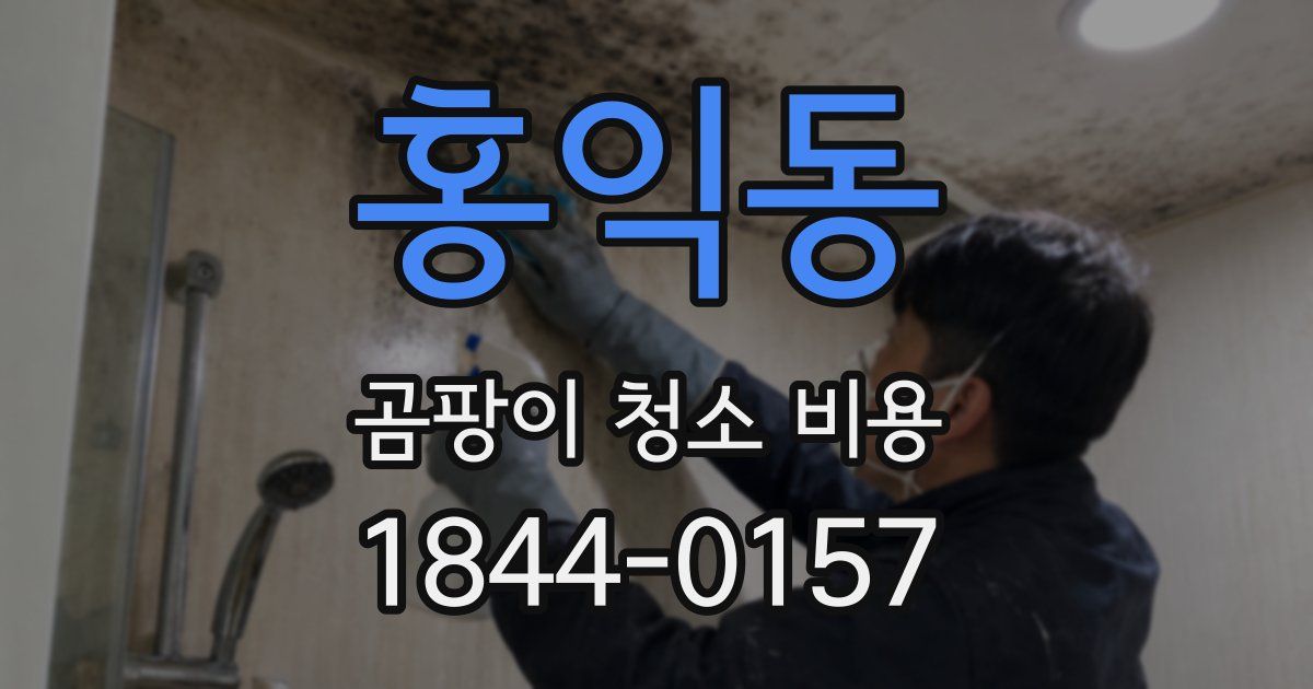홍익동 곰팡이 청소 비용