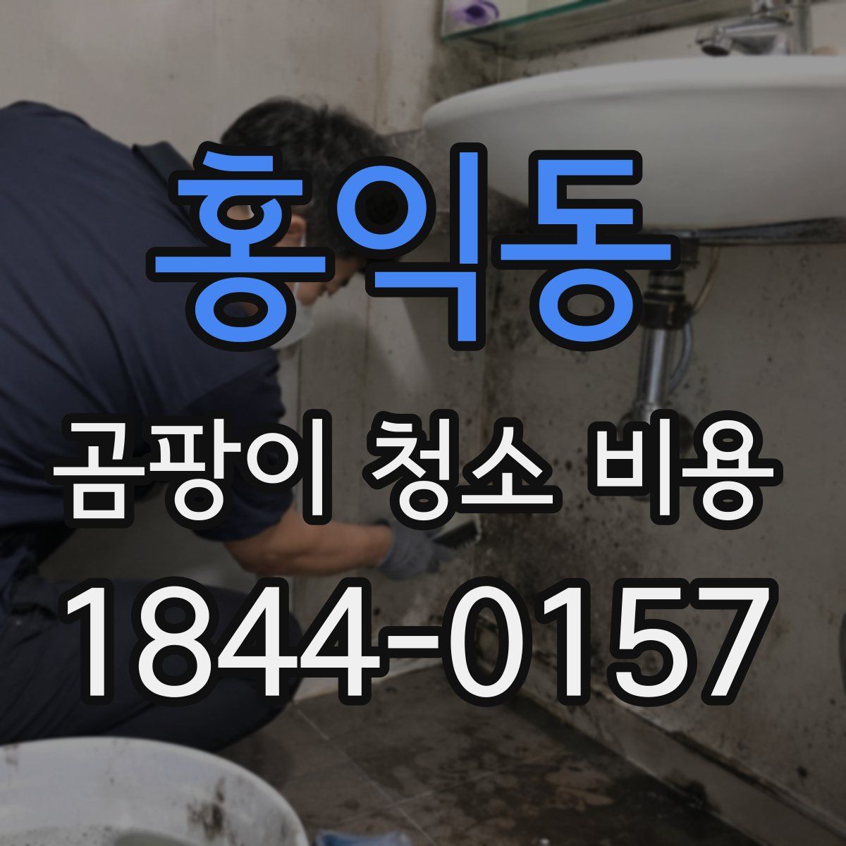 홍익동 곰팡이 청소 비용