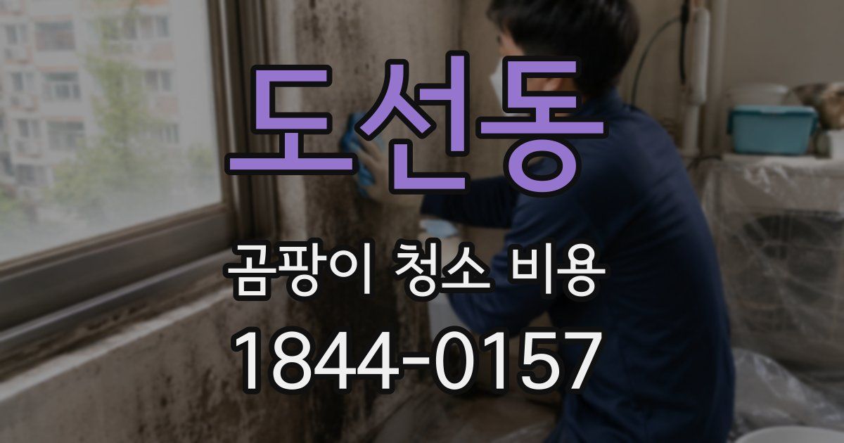 도선동 곰팡이 청소 비용