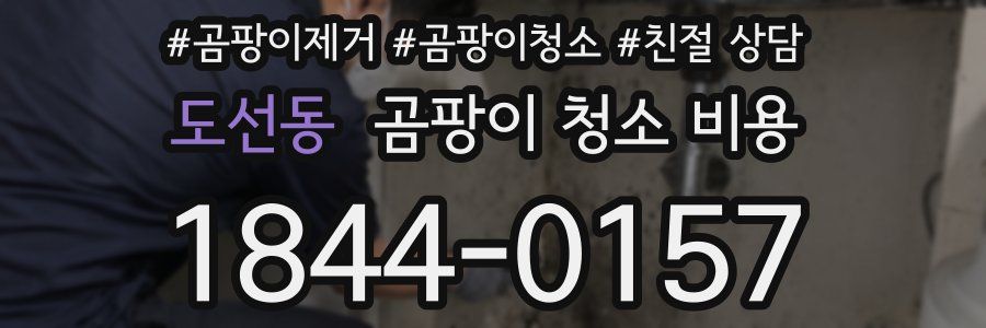 도선동 곰팡이 청소 비용