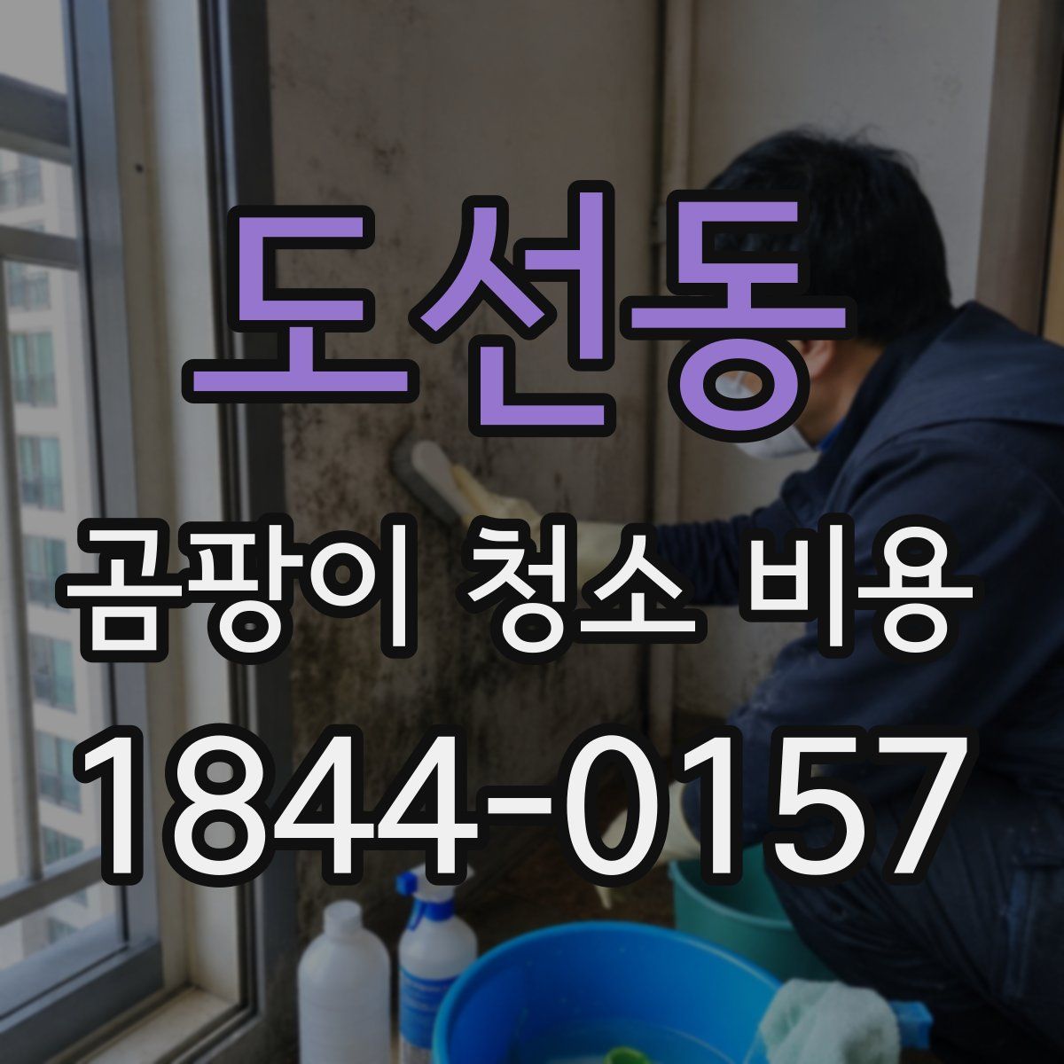 도선동 곰팡이 청소 비용