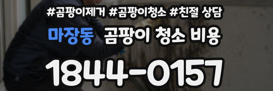 마장동 곰팡이 청소 비용