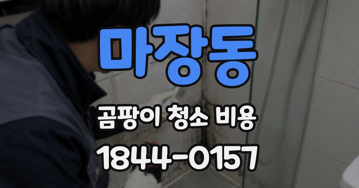 마장동 곰팡이 청소 비용