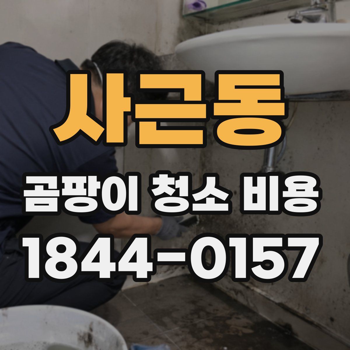 사근동 곰팡이 청소 비용