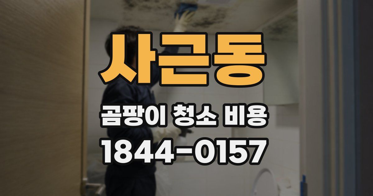 사근동 곰팡이 청소 비용