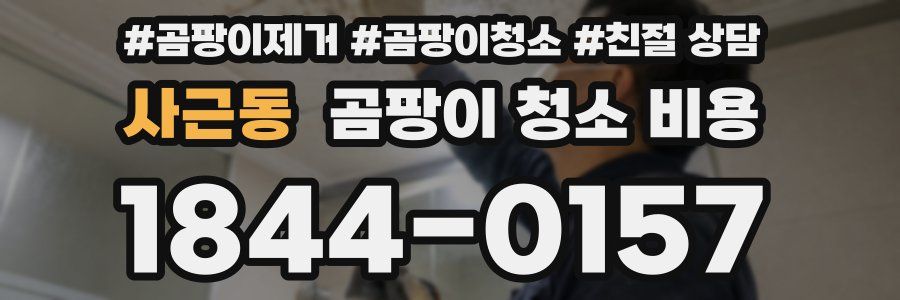 사근동 곰팡이 청소 비용