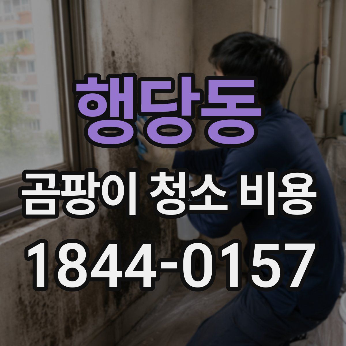 행당동 곰팡이 청소 비용