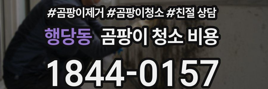 행당동 곰팡이 청소 비용