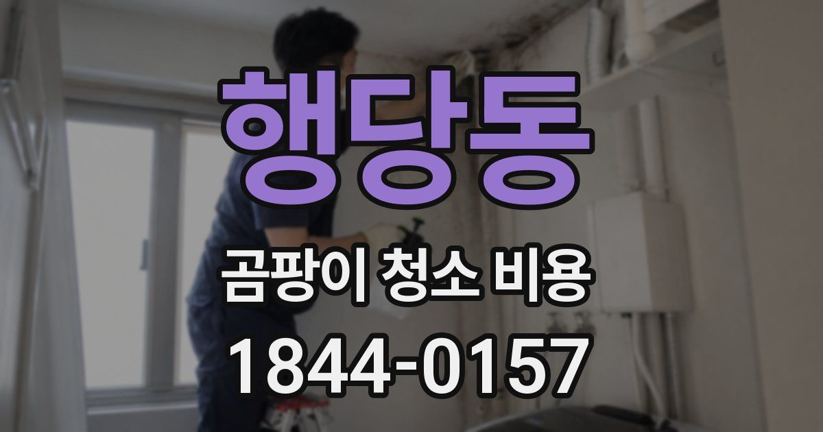 행당동 곰팡이 청소 비용