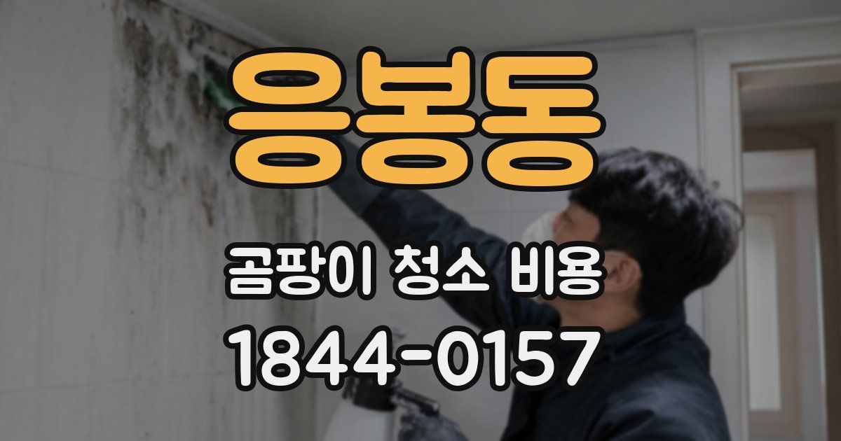 응봉동 곰팡이 청소 비용