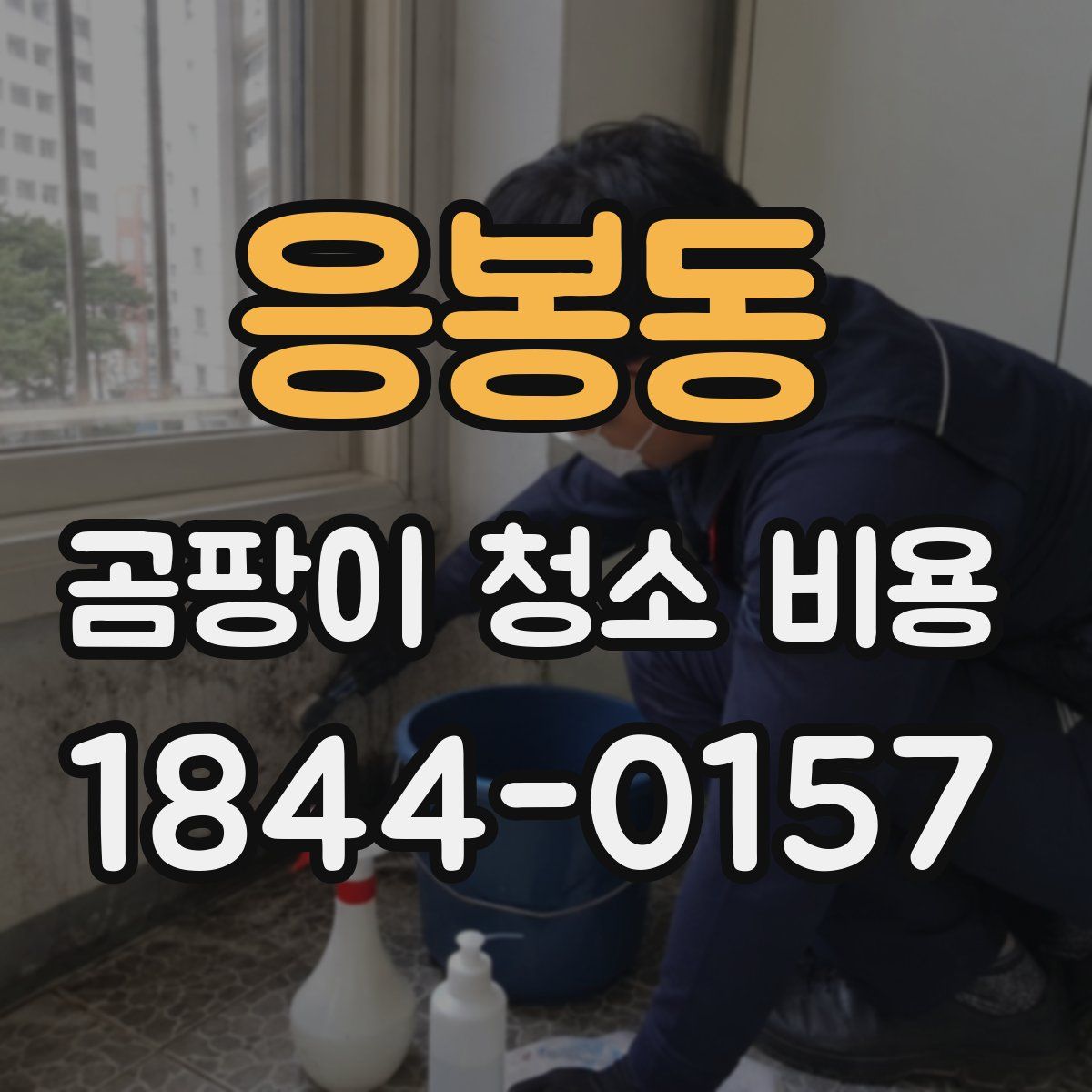 응봉동 곰팡이 청소 비용