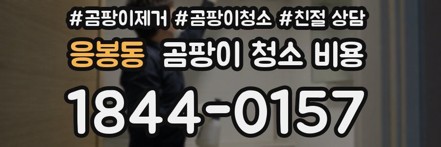 응봉동 곰팡이 청소 비용