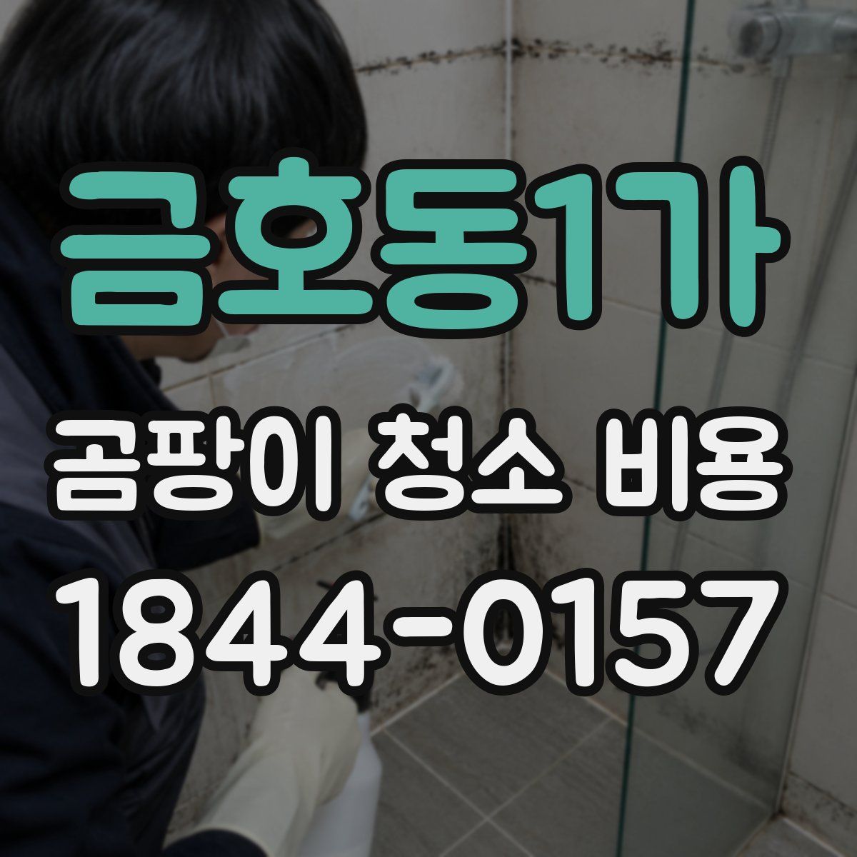 금호동1가 곰팡이 청소 비용
