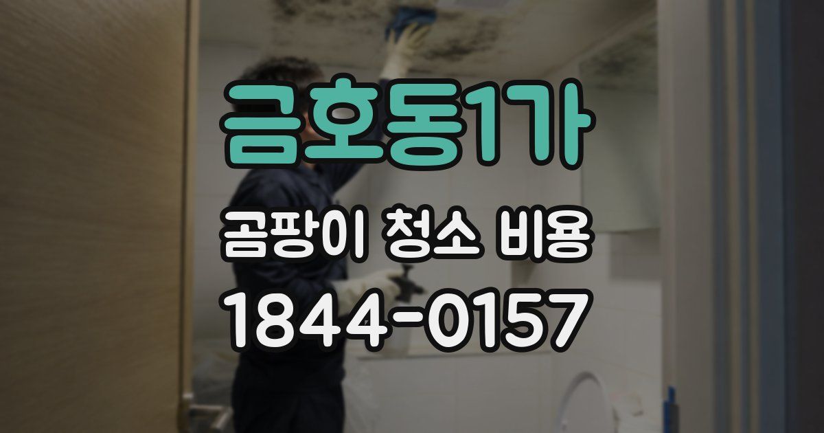 금호동1가 곰팡이 청소 비용