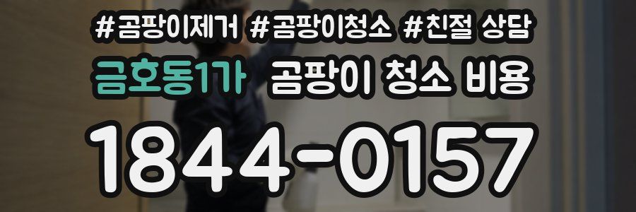 금호동1가 곰팡이 청소 비용