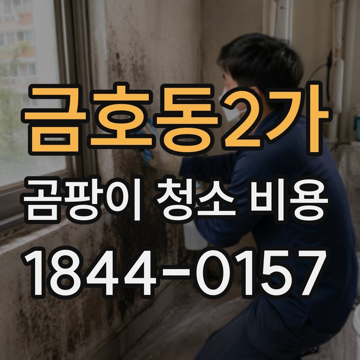 금호동2가 곰팡이 청소 비용 비교 시 실제로 봐야 할 기준