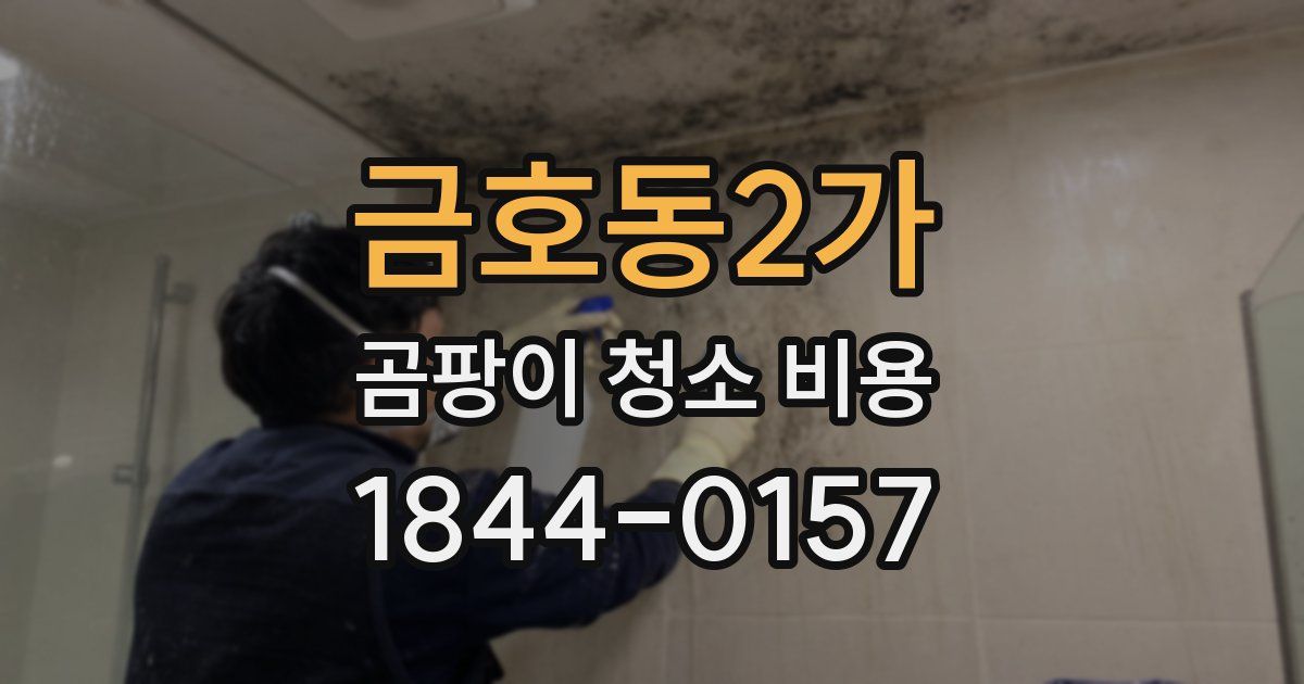 금호동2가 곰팡이 청소 비용