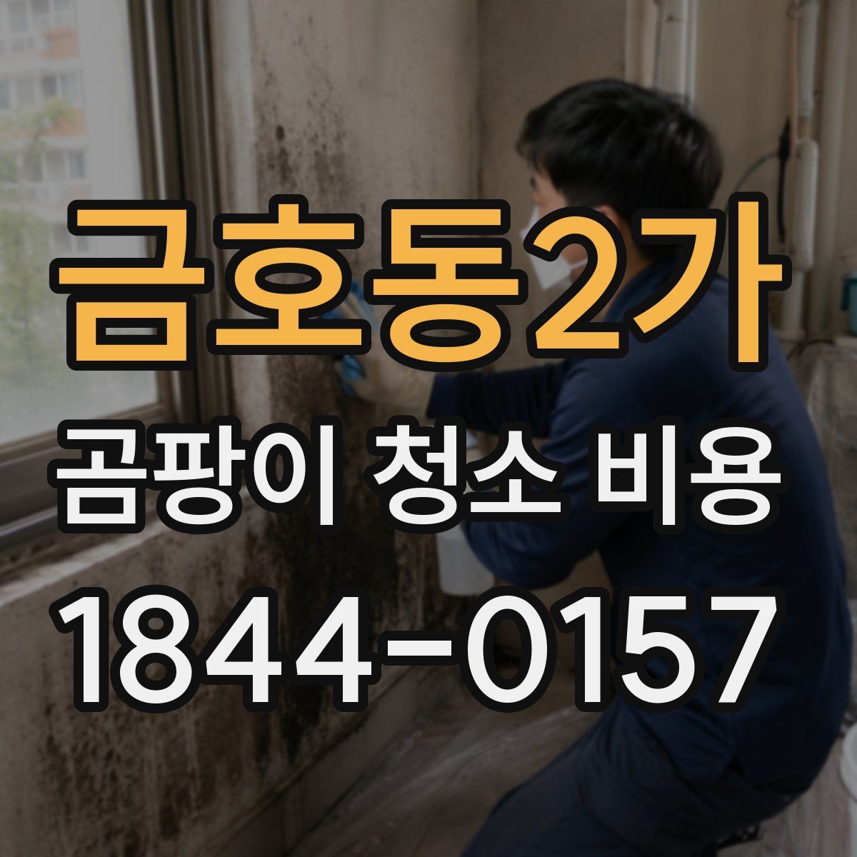 금호동2가 곰팡이 청소 비용