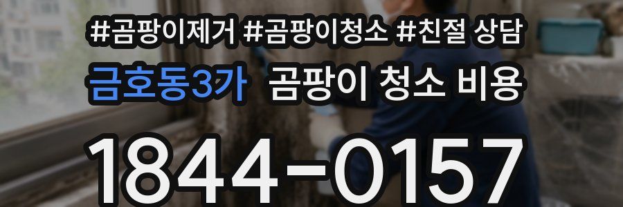 금호동3가 곰팡이 청소 비용