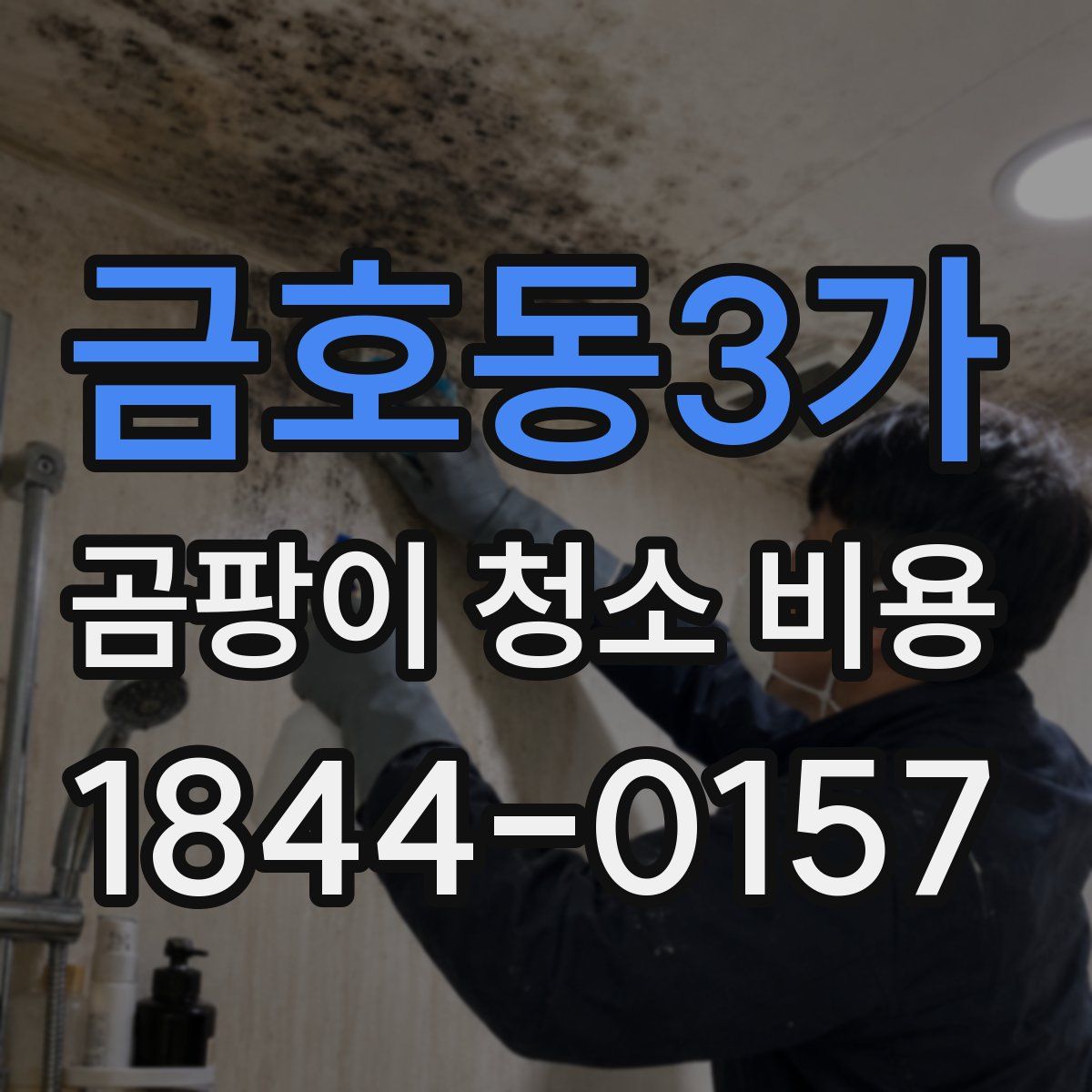 금호동3가 곰팡이 청소 비용