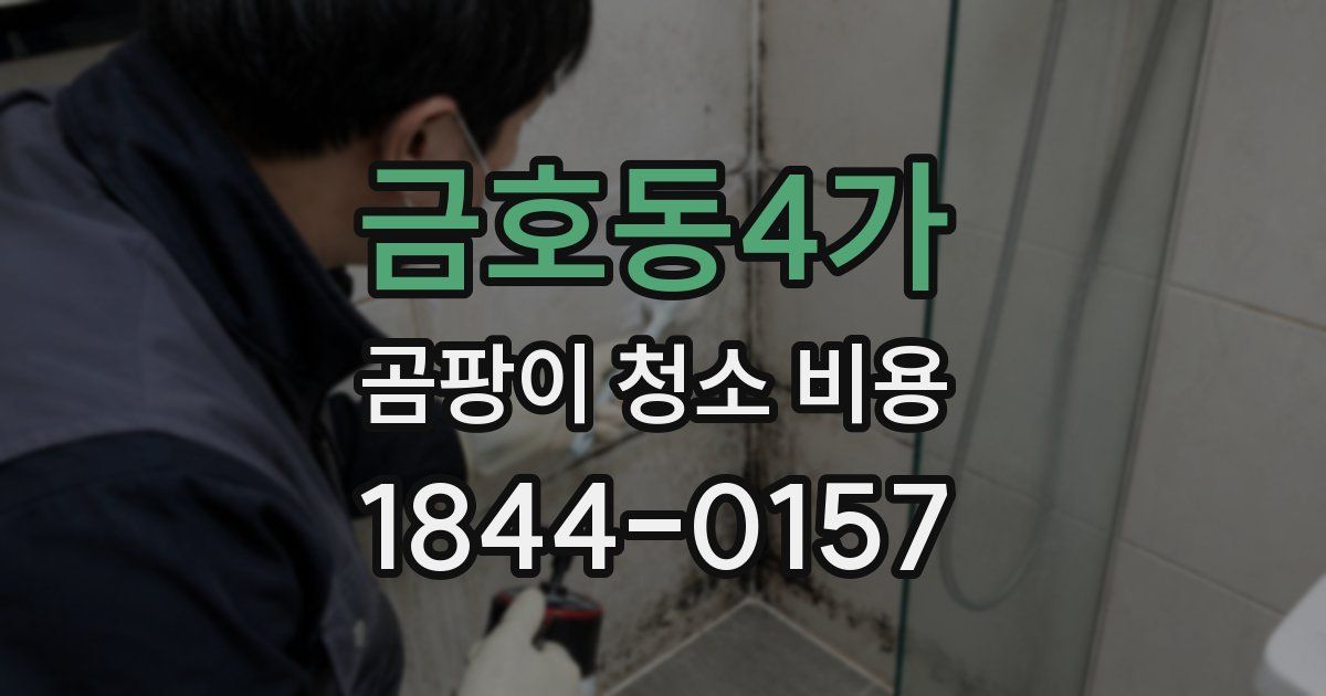 금호동4가 곰팡이 청소 비용