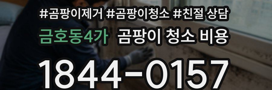 금호동4가 곰팡이 청소 비용