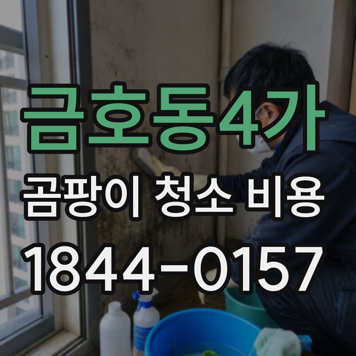 금호동4가 곰팡이 청소 비용