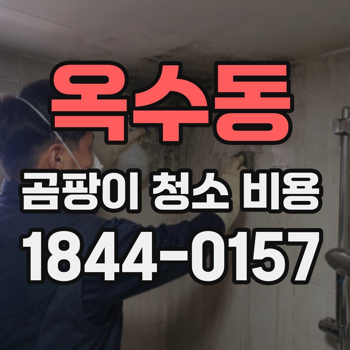 옥수동 곰팡이 청소 비용