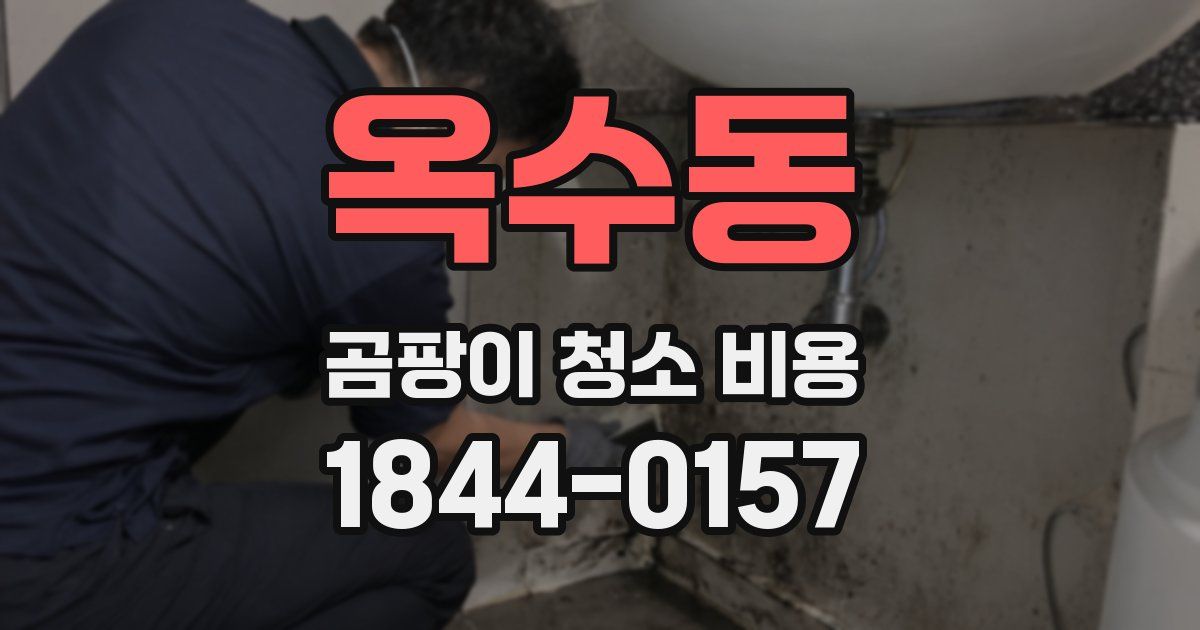 옥수동 곰팡이 청소 비용
