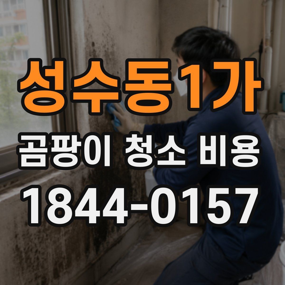 성수동1가 곰팡이 청소 비용 비교 시 주의할 기준