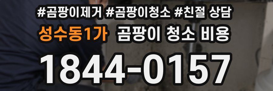성수동1가 곰팡이 청소 비용