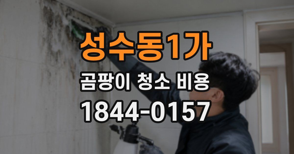성수동1가 곰팡이 청소 비용