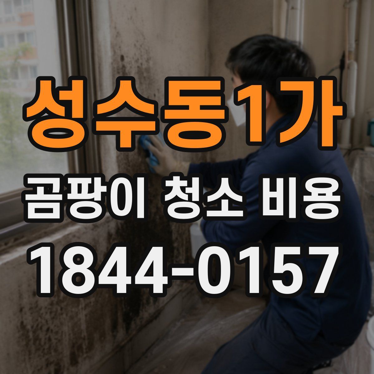 성수동1가 곰팡이 청소 비용