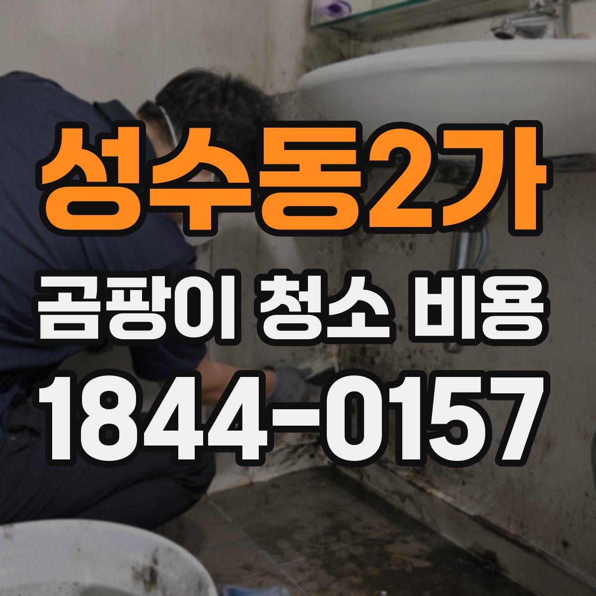 성수동2가 곰팡이 청소 비용