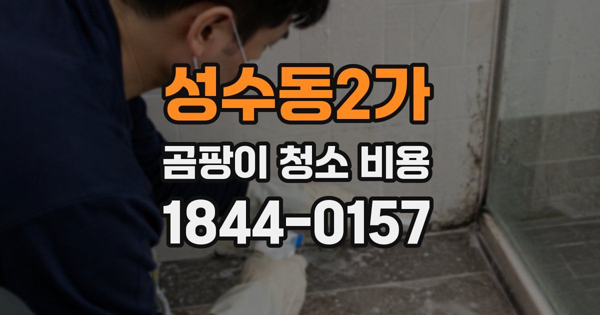 성수동2가 곰팡이 청소 비용