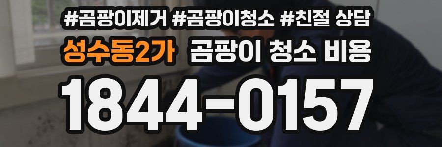 성수동2가 곰팡이 청소 비용