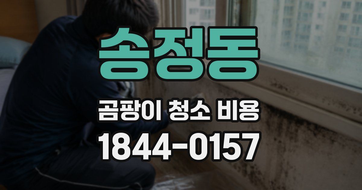 송정동 곰팡이 청소 비용