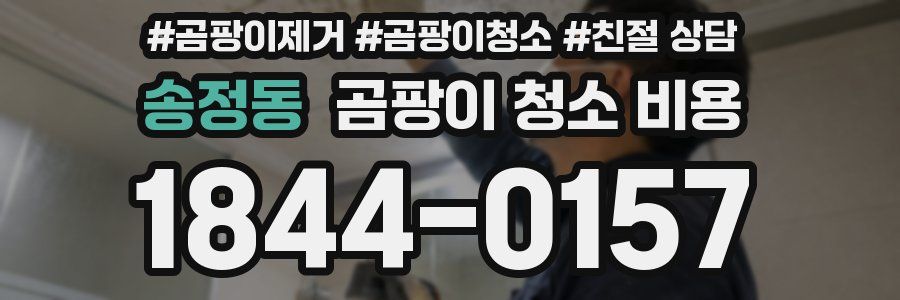 송정동 곰팡이 청소 비용