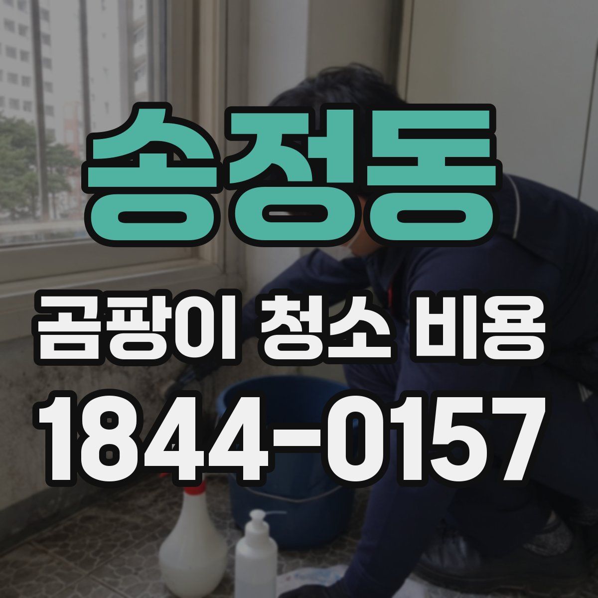 송정동 곰팡이 청소 비용