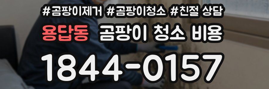 용답동 곰팡이 청소 비용