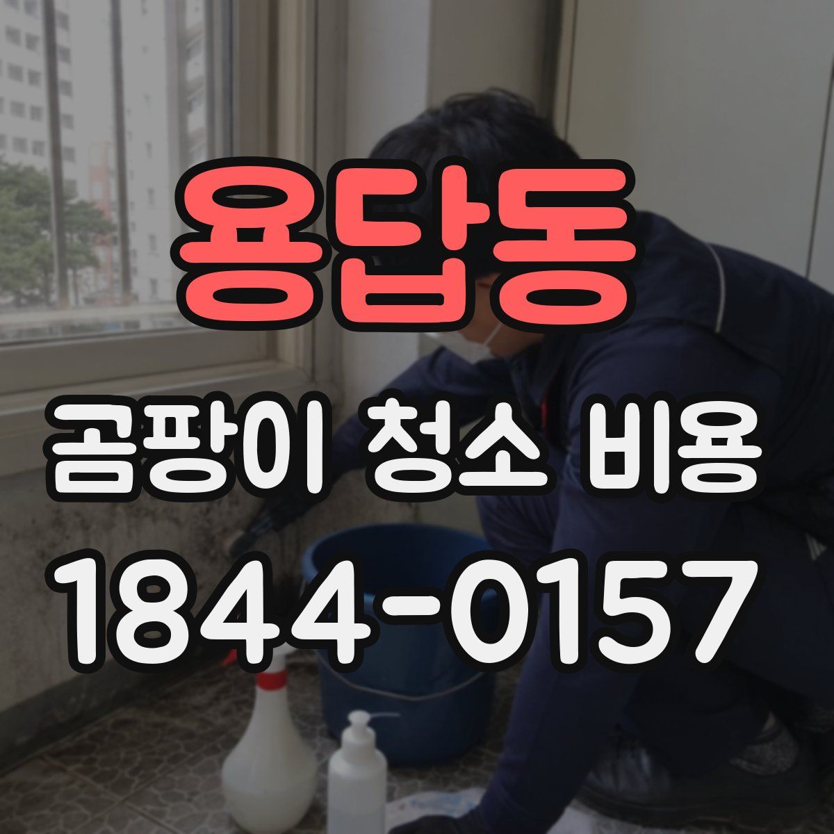 용답동 곰팡이 청소 비용