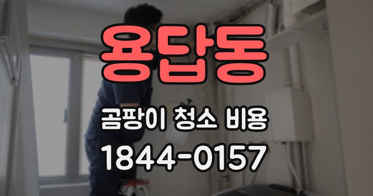 용답동 곰팡이 청소 비용