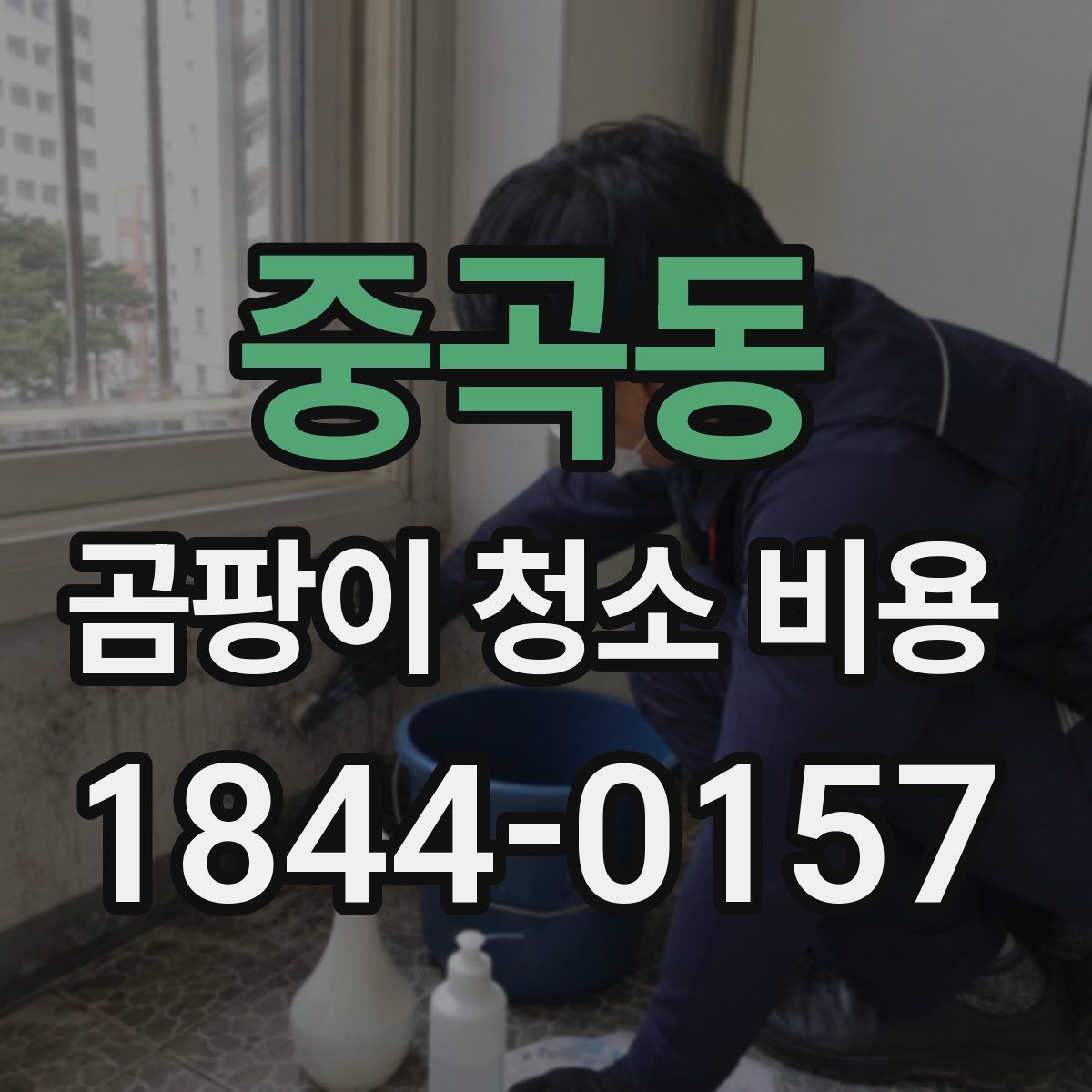 중곡동 곰팡이 청소 비용