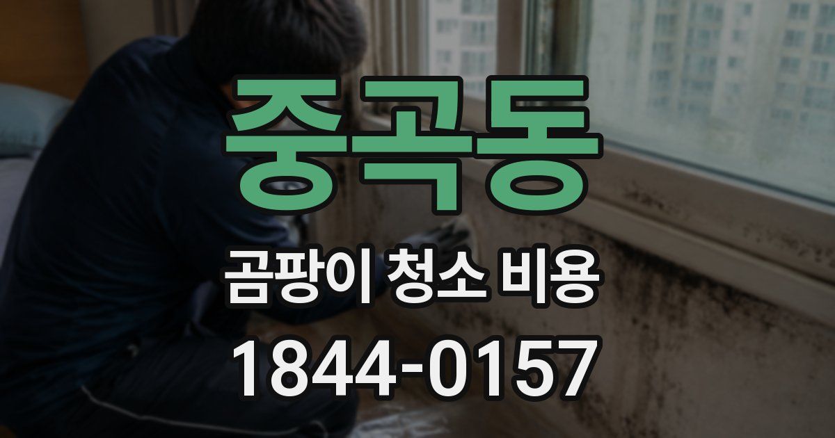 중곡동 곰팡이 청소 비용