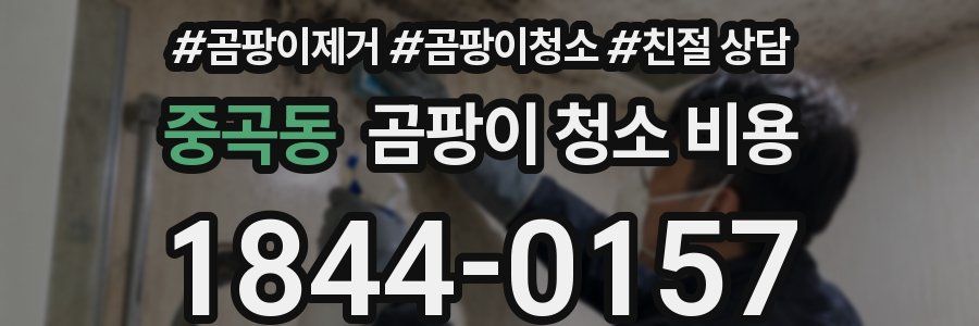 중곡동 곰팡이 청소 비용