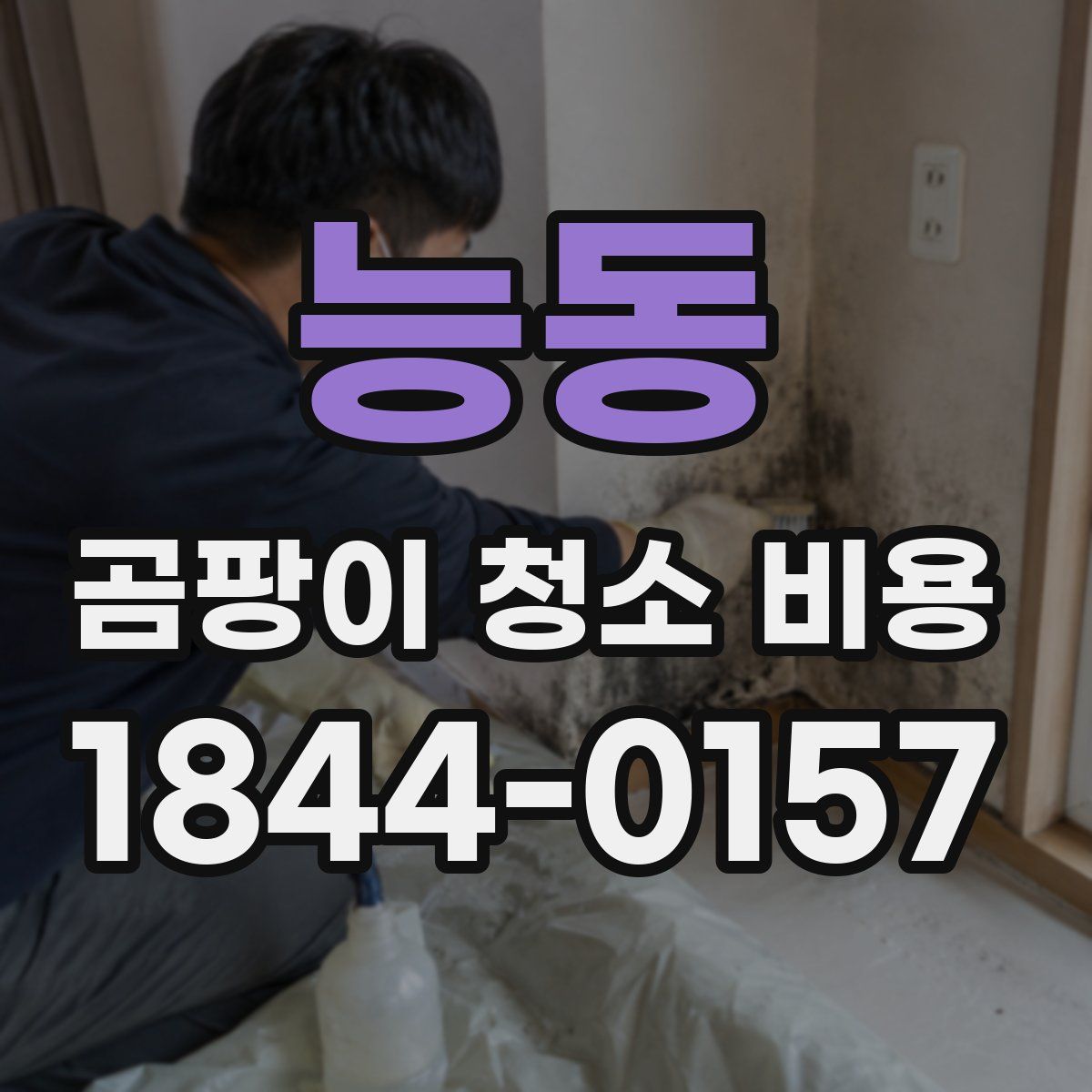 능동 곰팡이 청소 비용
